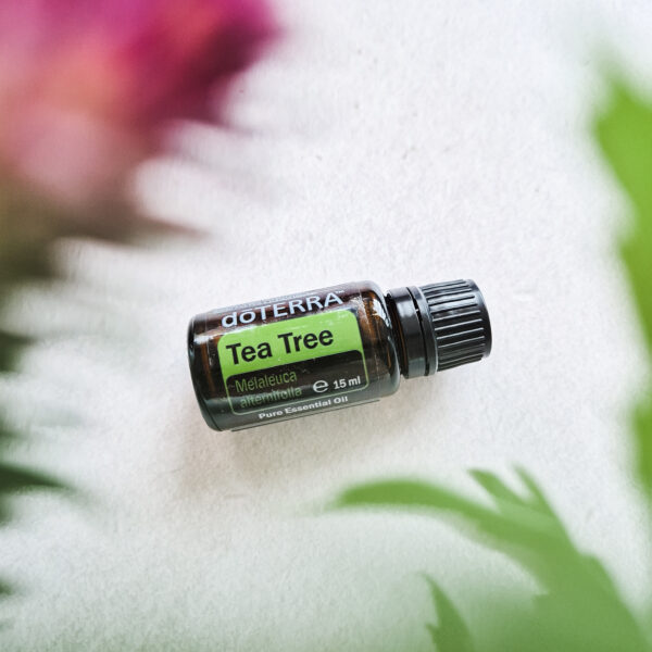 Teatree doTERRA